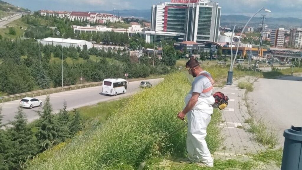 bayraktepe-ve-erenler’de-ot-bicme-mesaisi-suruyor