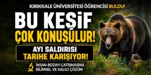Ayı saldırısı tarihe karışıyor Bu keşif çok konuşulur