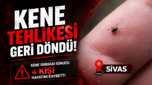 Kene nedeniyle 4’üncü ölüm