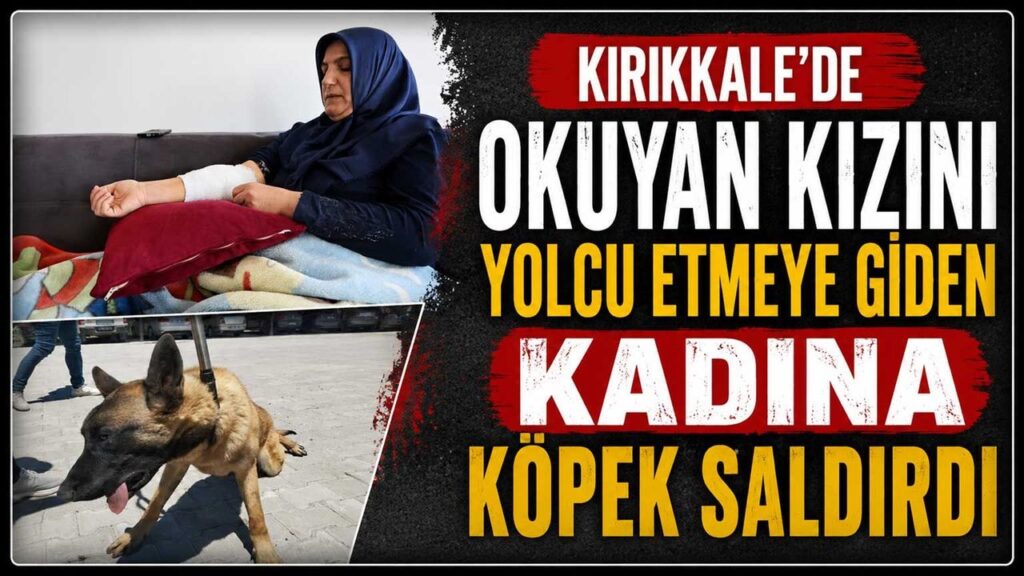 kirikkale’de-okuyan-kizini-yolcu-etmeye-giden-kadina-kopek-saldirdi