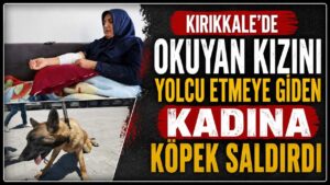 Kırıkkale’de okuyan kızını yolcu etmeye giden kadına köpek saldırdı
