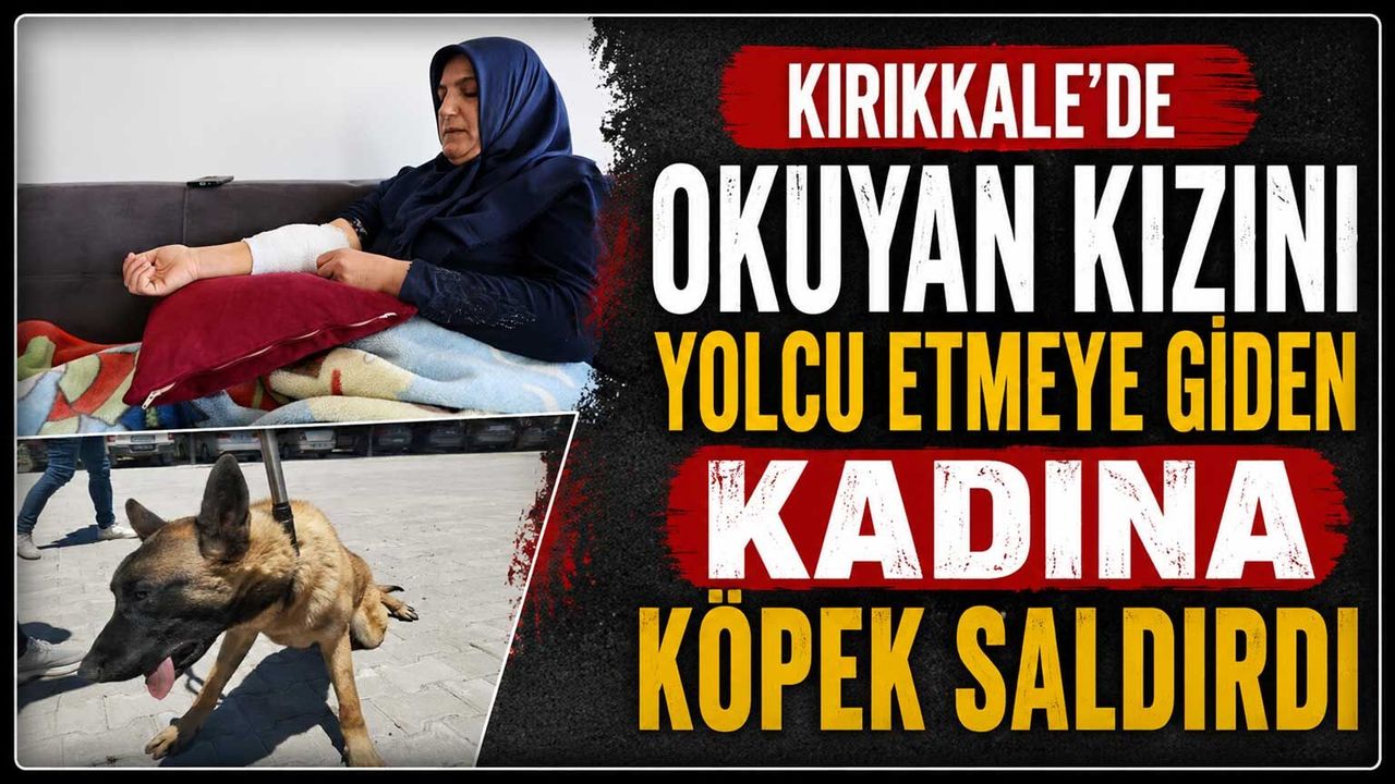 kirikkale’de-okuyan-kizini-yolcu-etmeye-giden-kadina-kopek-saldirdi