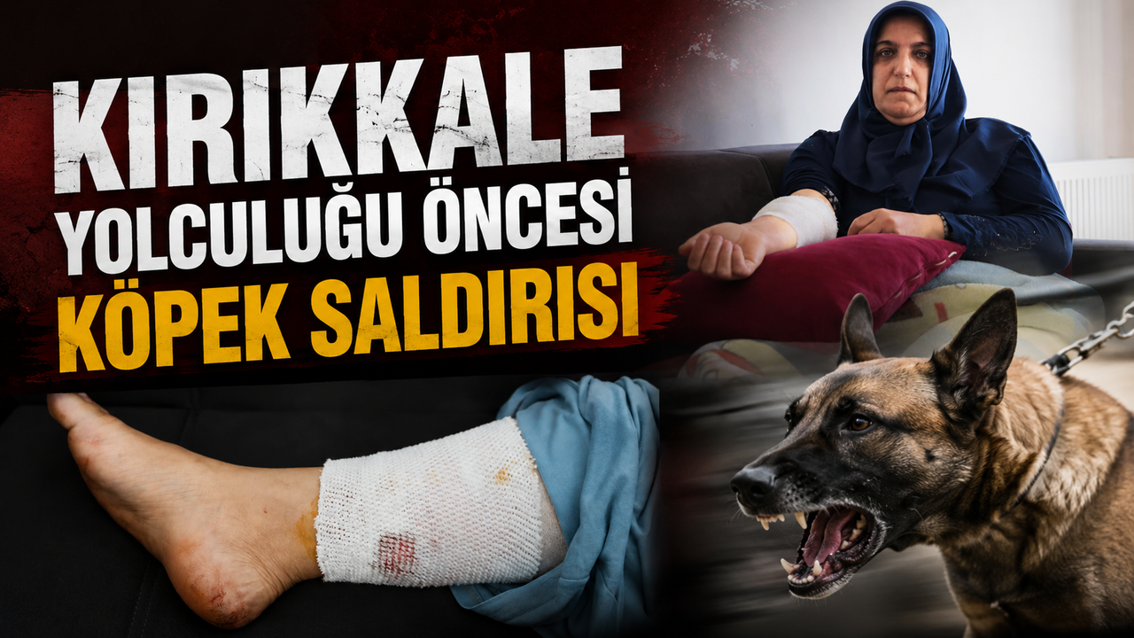 kirikkale-yolculugu-oncesi-kopek-saldirisi