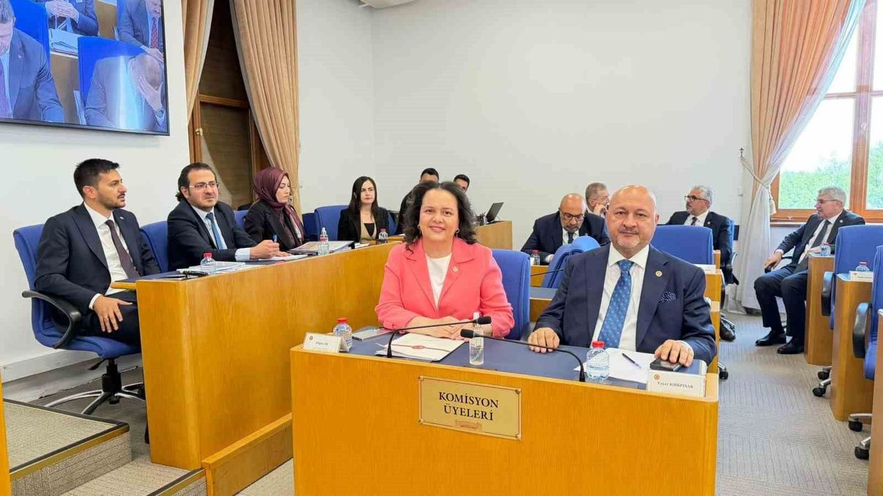 emniyet,-basin-ve-vergi-ile-ilgili-duzenlemeleri-iceren-kanun-teklifi-komisyon’da