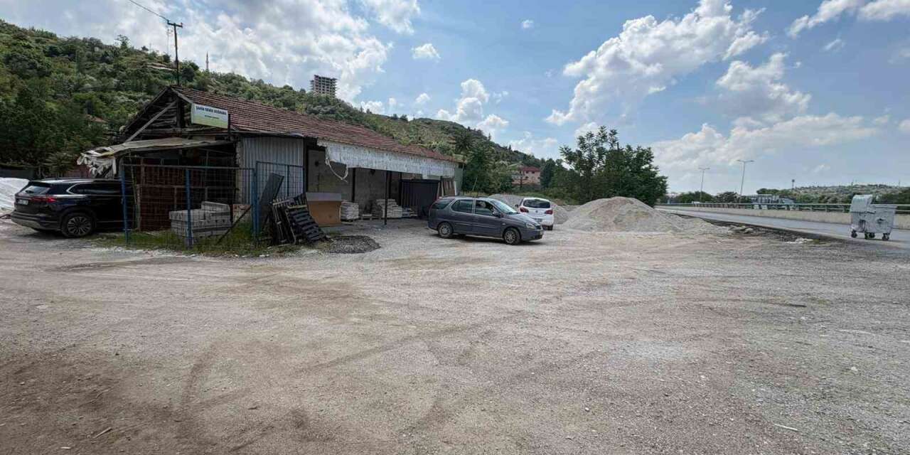 yasli-kadin-sahipsiz-kopeklerin-saldirisindan-son-anda-kurtuldu