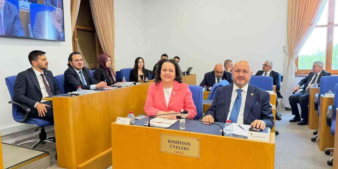 emniyet,-basin-ve-vergi-ile-ilgili-duzenlemeleri-iceren-kanun-teklifi-komisyon’da