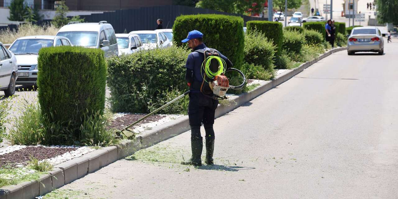 sehir-genelinde-yabani-otlar-temizleniyor