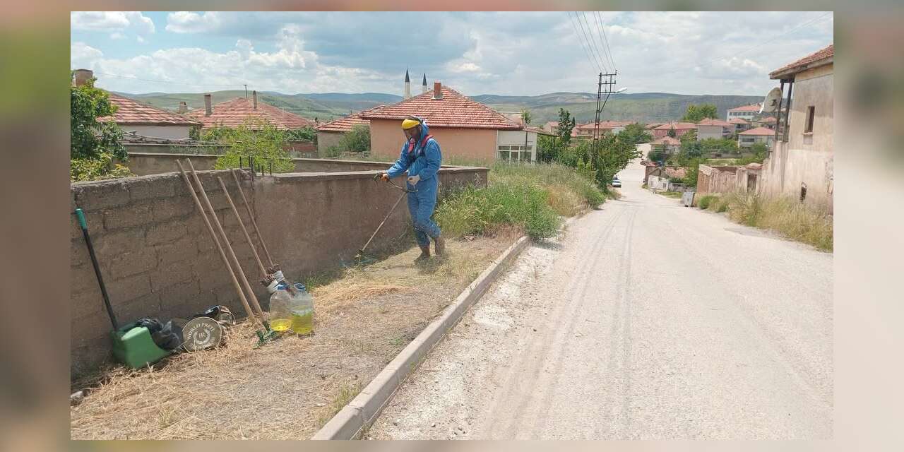yahsihan’in-her-bolgesi-otlardan-temizleniyor