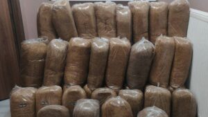 Yolcu otobüsünde 510 kilo kaçak tütün bulundu
