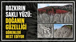 Bozkırın saklı yüzü: Doğanın güzelliği görenleri mest ediyor