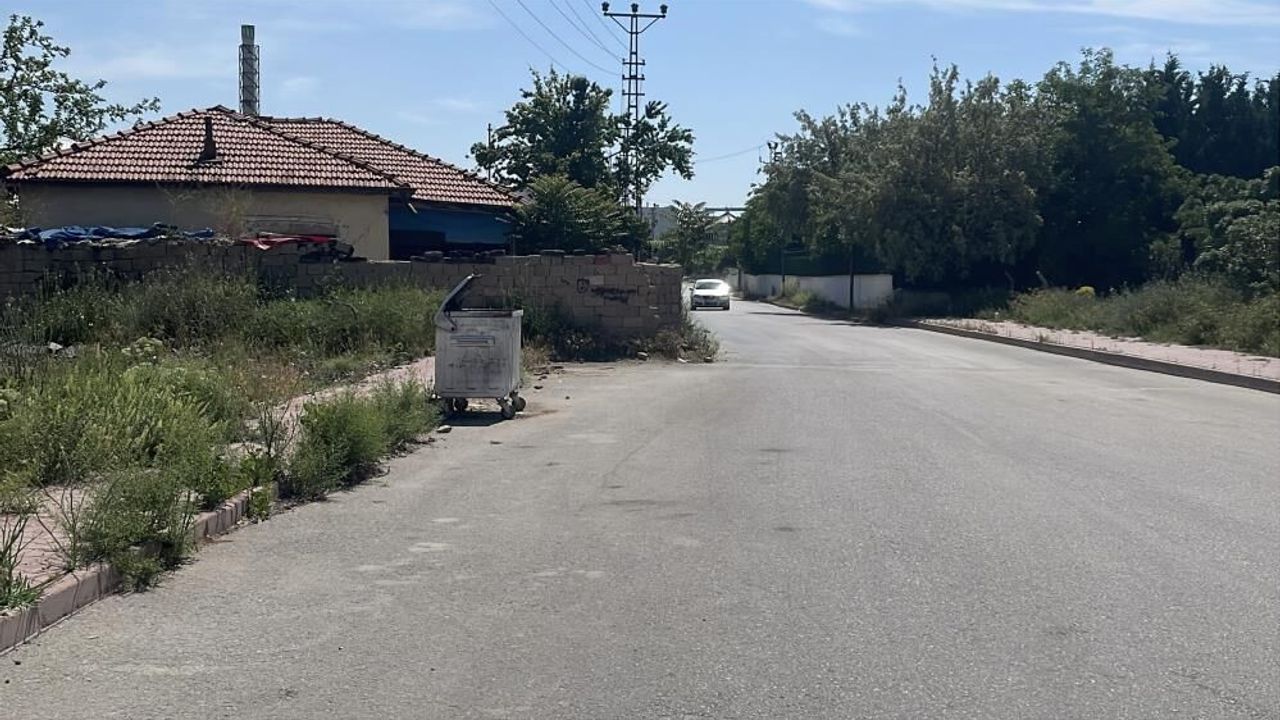 bosanma-asamasindaki-esini-vurup-canina-kiydi