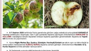 Üreticilere karaleke ve iç kurdu uyarısı
