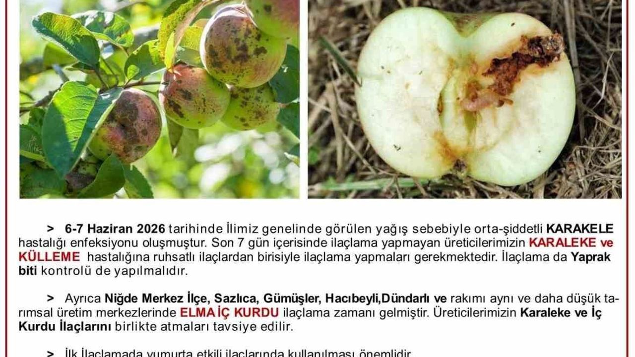 ureticilere-karaleke-ve-ic-kurdu-uyarisi
