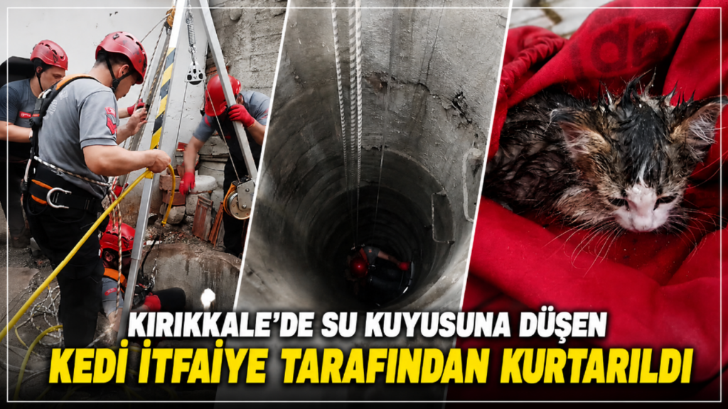 kirikkale’de-su-kuyusuna-dusen-kedi-itfaiye-tarafindan-kurtarildi