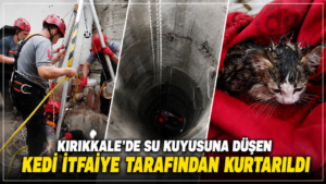 Kırıkkale’de su kuyusuna düşen kedi itfaiye tarafından kurtarıldı