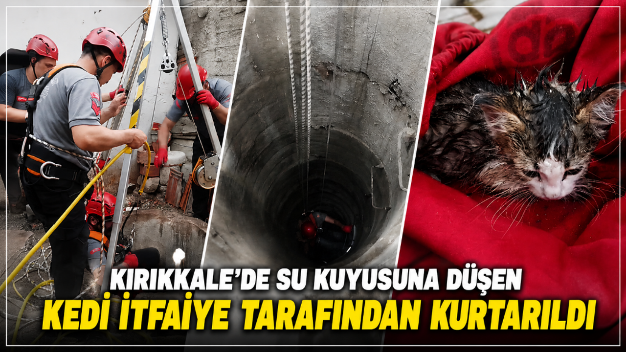 kirikkale’de-su-kuyusuna-dusen-kedi-itfaiye-tarafindan-kurtarildi