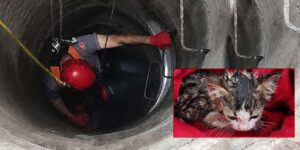 Kırıkkale’de nefeslerin tutulduğu kurtarma operasyonu! Sağ salim çıkarıldı