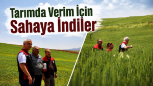 Kırıkkale’de Buğday Deneme Alanları İncelendi