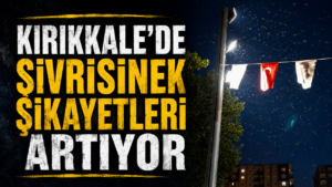 Kırıkkale’de Sivrisinek Şikayetleri Artıyor