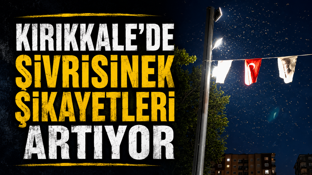 kirikkale’de-sivrisinek-sikayetleri-artiyor