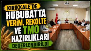 Kırıkkale’de hububatta verim, rekolte ve TMO hazırlıkları değerlendirildi