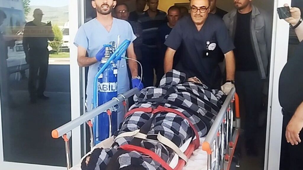 hayvanlarini-otlatirken-ayi-saldirisina-ugradi,-kangallar-imdadina-yetisti