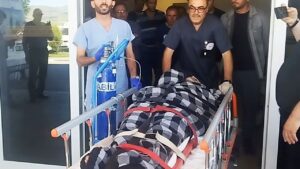Hayvanlarını otlatırken ayı saldırısına uğradı, Kangallar imdadına yetişti