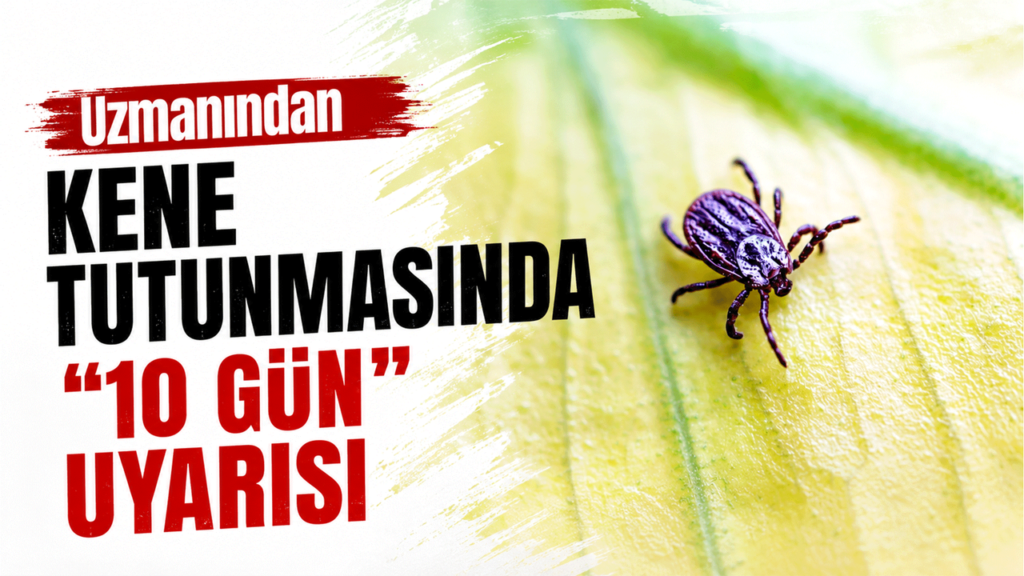 uzmanindan-kene-tutunmasinda-’10-gun’-uyarisi