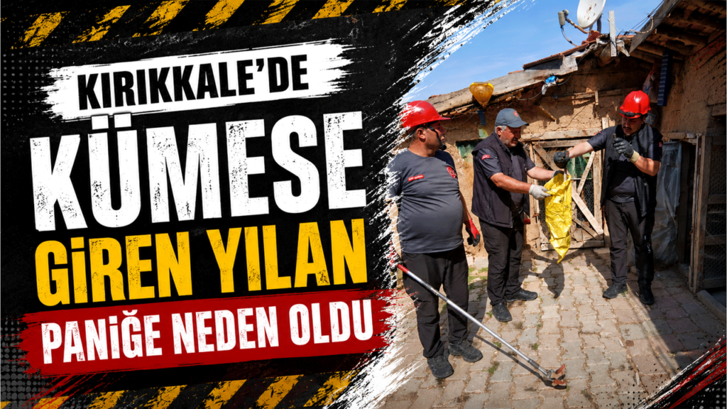 kirikkale’de-kumese-giren-yilan-panige-neden-oldu