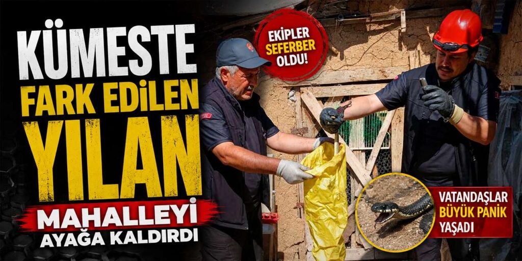 kumeste-fark-edilen-yilan-mahalleyi-ayaga-kaldirdi