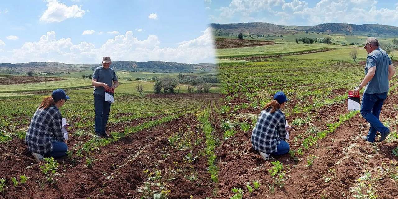 kirikkale-tariminda-saha-alarmi:-teknik-personel-ureticiler-icin-koyleri-geziyor