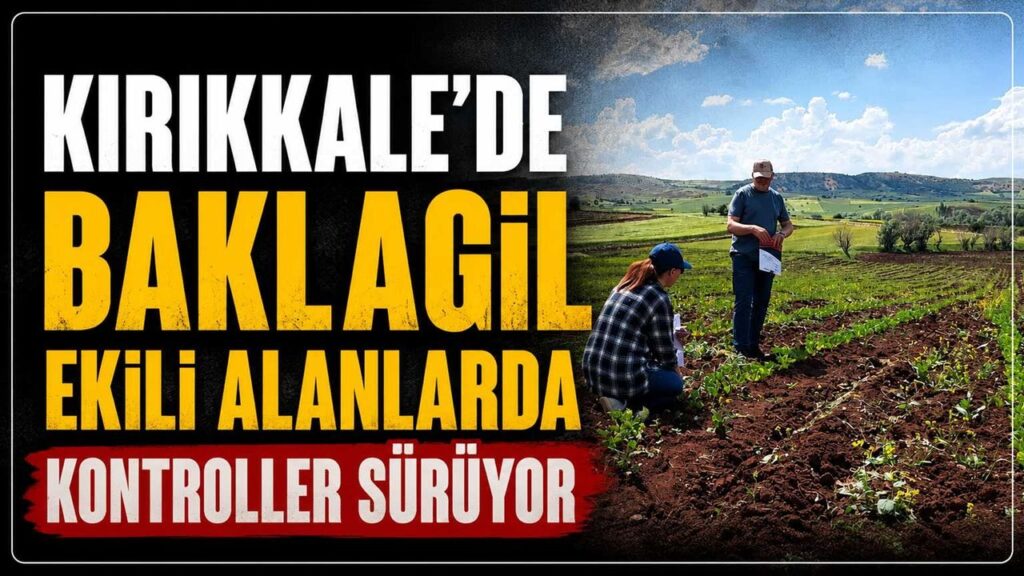 kirikkale’de-baklagil-ekili-alanlarda-kontroller-suruyor