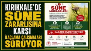 Kırıkkale’de süne zararlısına karşı ilaçlama çalışmaları sürüyor