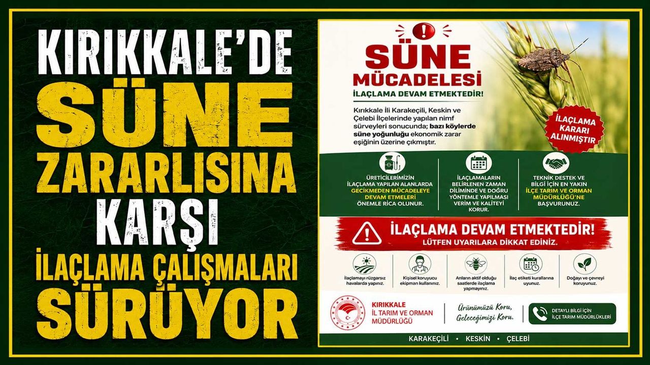 kirikkale’de-sune-zararlisina-karsi-ilaclama-calismalari-suruyor