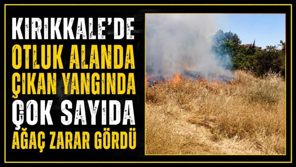 kirikkale’de-otluk-alanda-cikan-yanginda-cok-sayida-agac-zarar-gordu