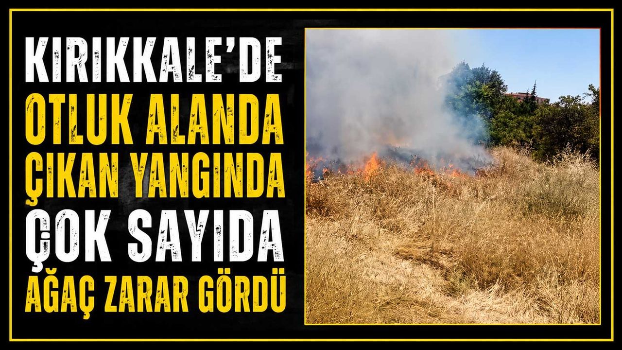kirikkale’de-otluk-alanda-cikan-yanginda-cok-sayida-agac-zarar-gordu