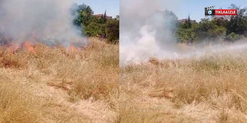 kirikkale-gundogdu-mahallesi’nde-korkutan-yangin:-cok-sayida-agac-kul-oldu!
