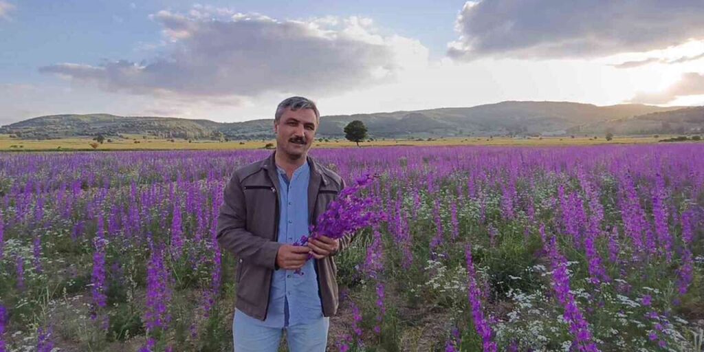 tarlalar-mora-boyandi,-cicekler-resim-tablosunu-andirdi