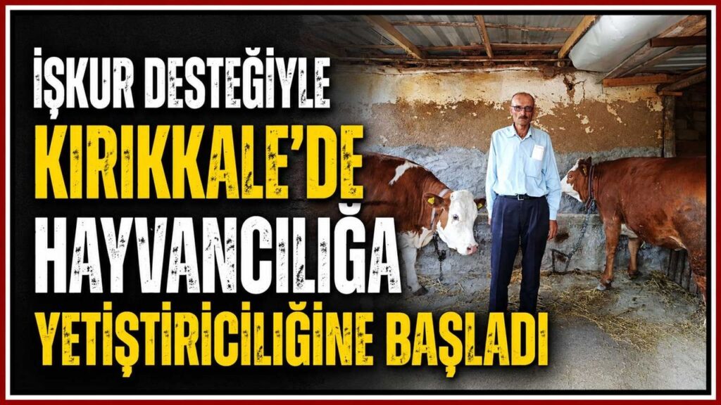 iskur-destegiyle-kirikkale’de-hayvanciliga-yetistiriciligine-basladi