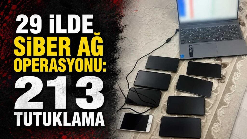 29-ilde-siber-ag-operasyonu:-213-tutuklama