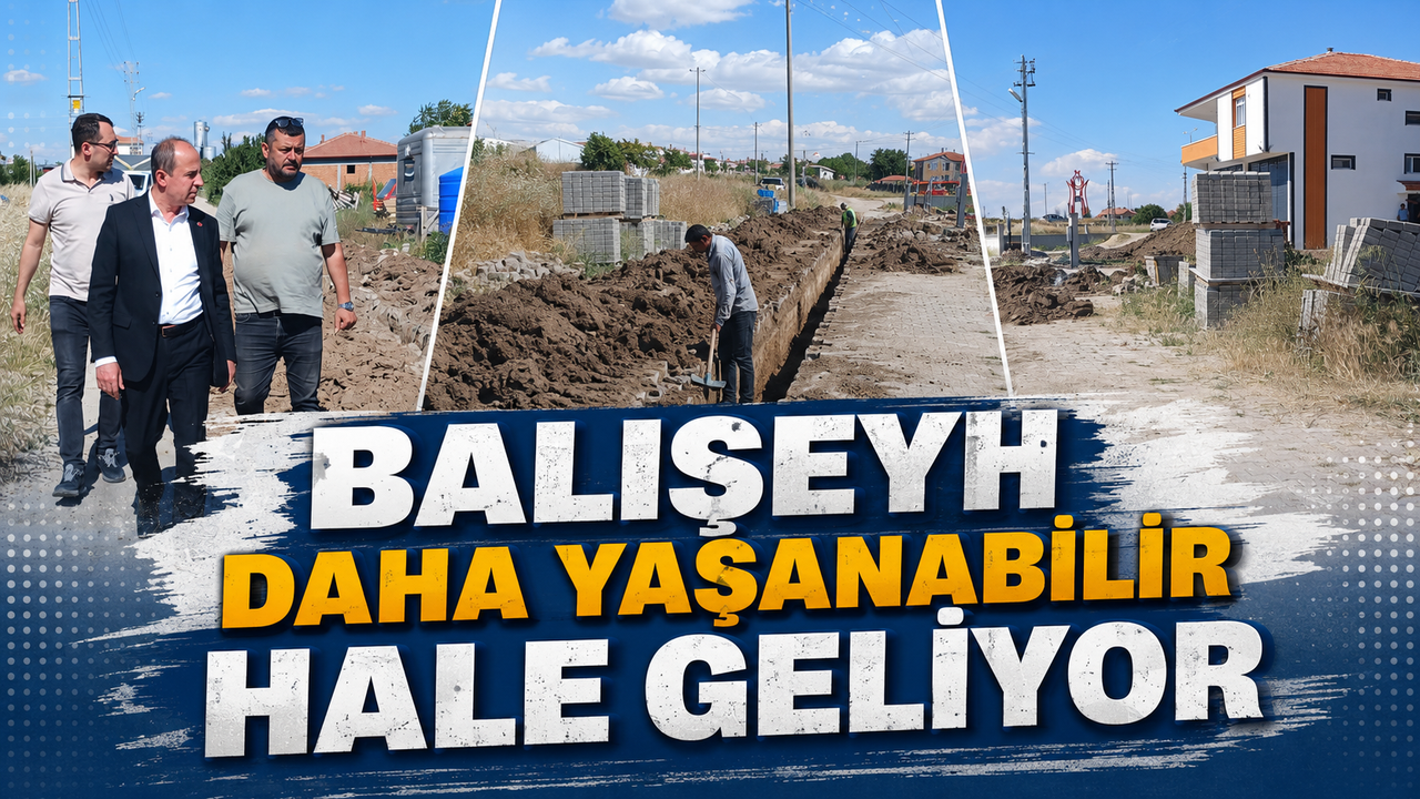 baliseyh-daha-yasanabilir-hale-geliyor