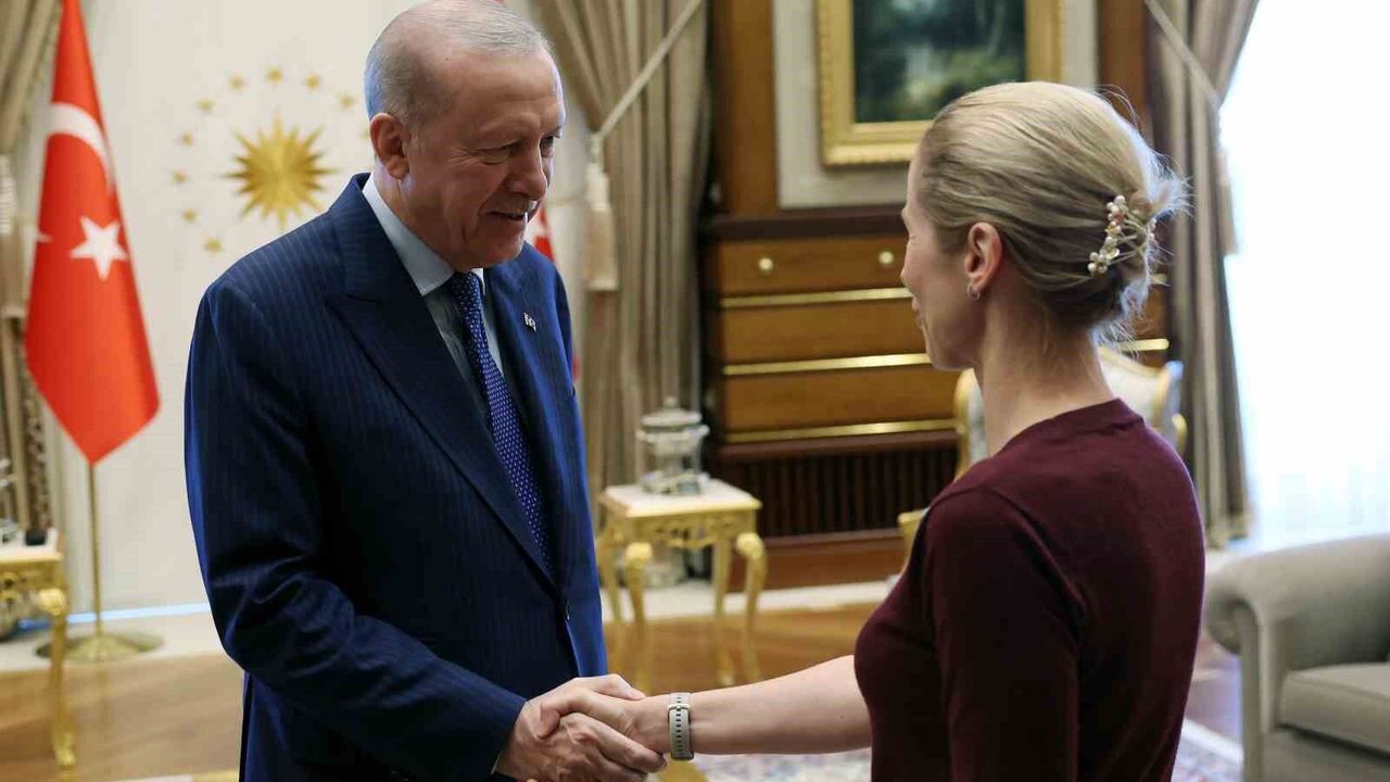 cumhurbaskani-erdogan,-ab-temsilcilerini-kabul-etti
