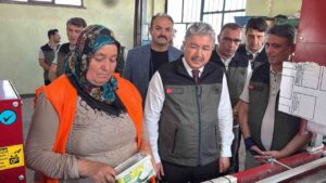 Yangın bölgelerine gönderilen milyonlarca fidan ‘nefes’ olacak