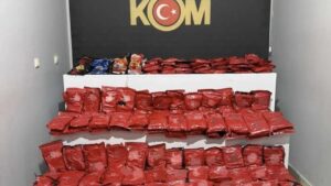 Kaçak tütün operasyonu: 272 paket ele geçirildi