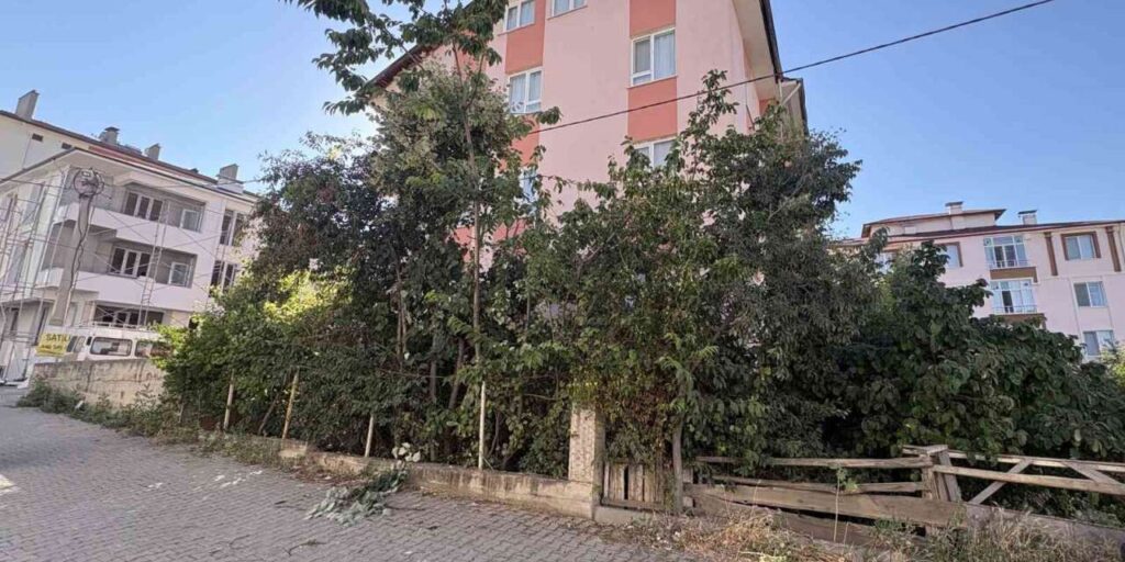 ihlamur-agacindan-dusen-emekli-ogretmen-yaralandi