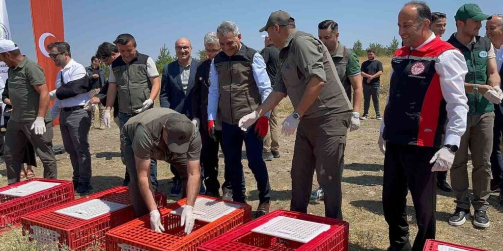 camlik-milli-parki’nda-bin-keklik-dogaya-kanat-cirpti