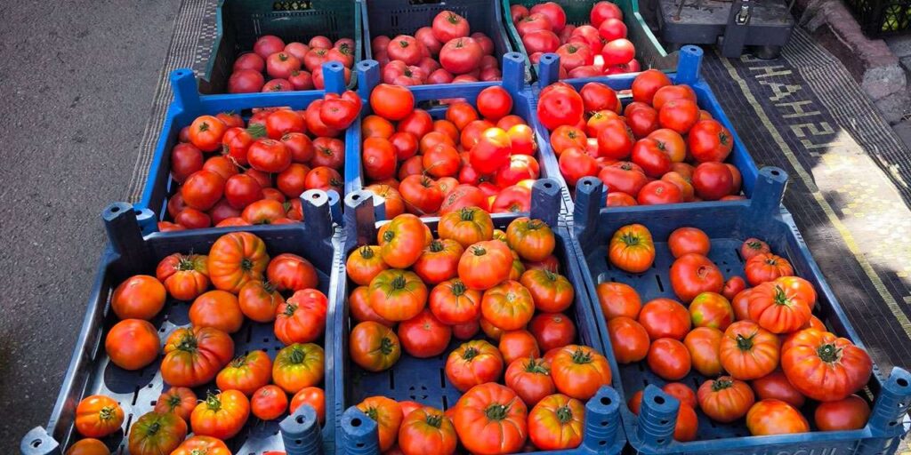 salca-ve-menemen-kisliklari-icin-geri-sayim-basladi:-kirikkale’de-domates-tezgahta-kac-tl?