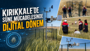 Kırıkkale’de Süne Mücadelesinde Dijital Dönem