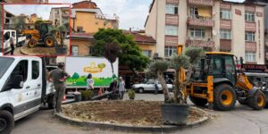 Kırıkkale’de kavşak ve parklarda göz alıcı değişim: Ekipler sahaya indi