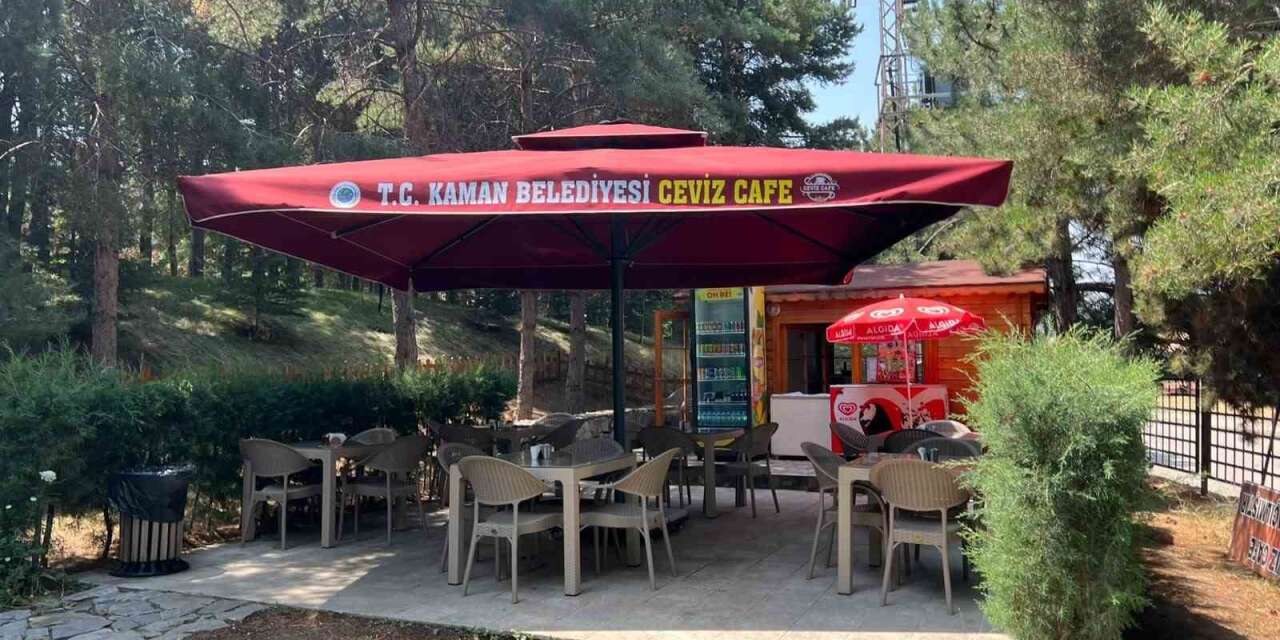 turizm-bolgesine-kazandirilan-ceviz-kafe-ilgi-goruyor
